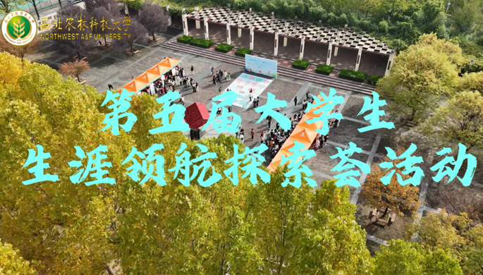 就业活动封面图