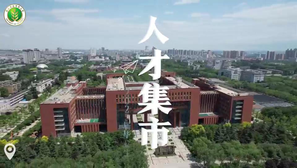 就业活动封面图